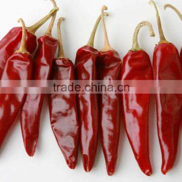 Indian Dry Chilli/ Guntur S 3 , 4 Andhra Sannam dry red Chilli