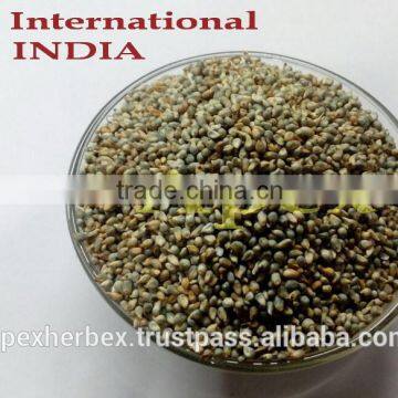 Apex Supplies Quality Green Millet