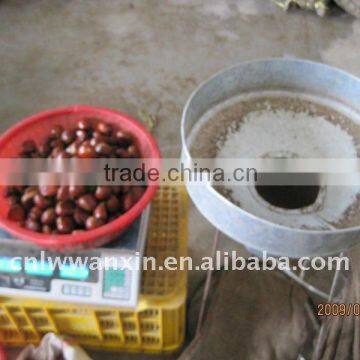 chestnut, organic chestnut, china chestnut for sale, dandong chestnut, laiwu wanxin