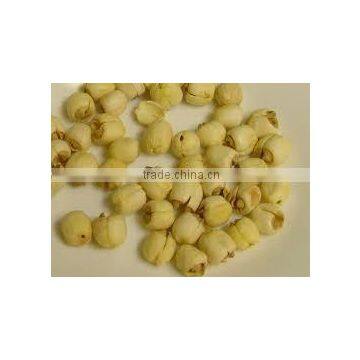 Lotus Seeds photo-2