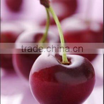 Canned Fruits(Red Cherries, Green cherry )