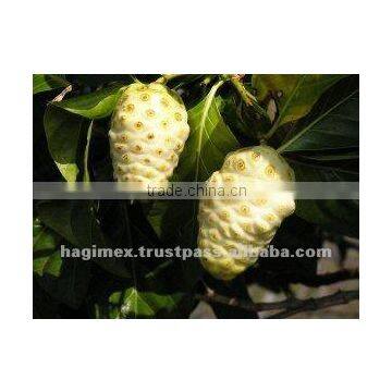 Noni powder capsules