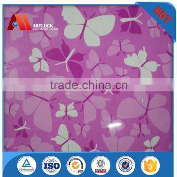 color pipeline painted steel sheet construction