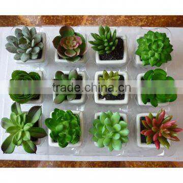 Lifelike High Quality Fake Artificial Succulent Plants Mini Bonsai With White Potted For Decoration
