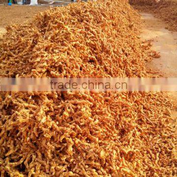 Large Cargo Chinese Qalangal