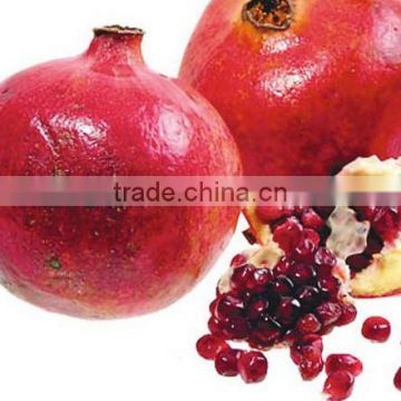 Pfrofessional Manufacturer Supply Pomegranate Extract Powder