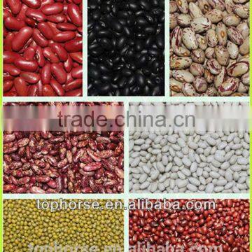 2014 Chinese types of kidney beans / bulk sales white red green blcak and speckled kidney beans