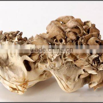 Best Selling Organic Dried Maitake Mushroom photo-2