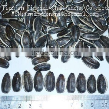 Chinese Sunflower Seed