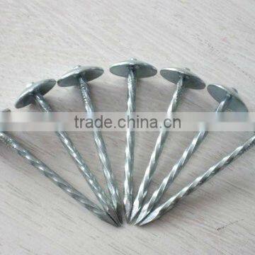 corrugated roofing nails,barbed roofing nail