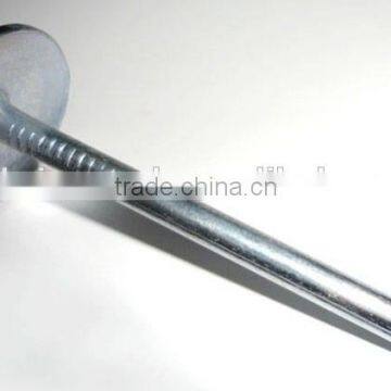 White Roofing Nail photo-2