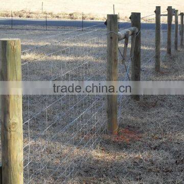 Automatic Welded Wire Mesh Knitting Machine photo-2