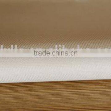 Factory Supply Textured E-fiberglass Cloth With PTFE Membrane Used for Dust Collector Bag photo-2