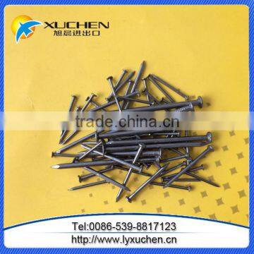 Common Nail/Common Wire Nail/Common Iron Nails photo-4
