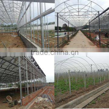 Cheap Price Greenhouse photo-6