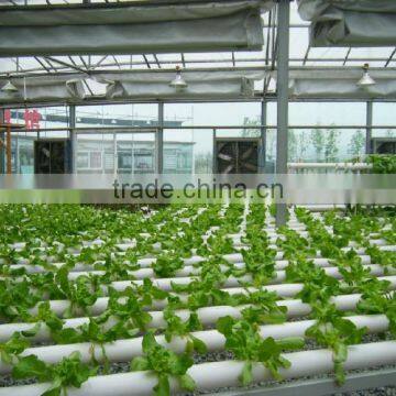 Portable Pipeline Hydroponic System photo-2