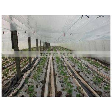 PE shrink greenhouse film/mulch film