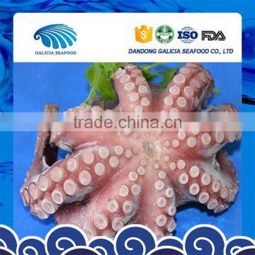 frozen raw octopus flower with good services from good supplier