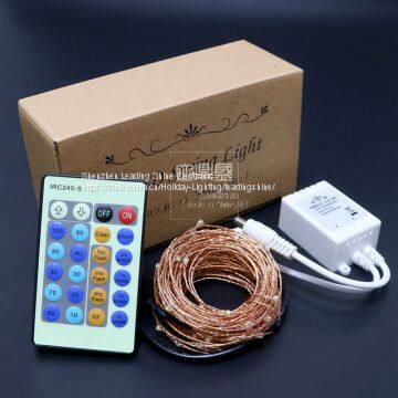 Waterproof Led Soft Copper Wire Christmas Tree Decoration Light Light Set Firefly Rice Smd Light String photo-5