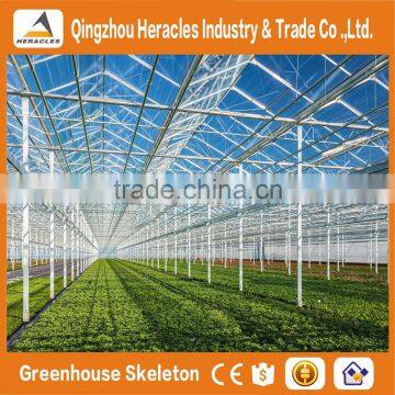 Heracles Gothic Glass Greenhouse for Strawberry photo-4
