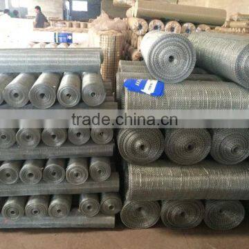 Electric Galvanized Welded Wire Netting Factory Price photo-3