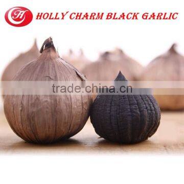 Manufacturer Supply Solo Black Garlic photo-3