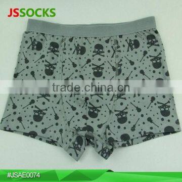 Custom Elastic Waistband Underwear Teen Sexy Boys Cotton Boxer