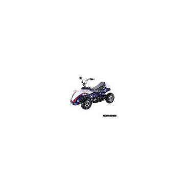 Mini Quad