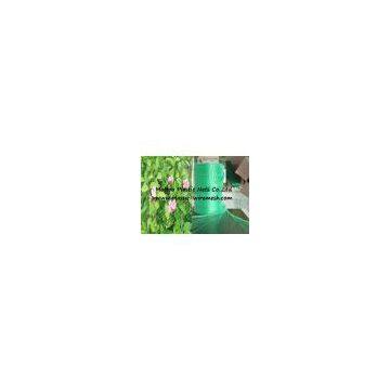 Plastic BOP Anti Bird Net&mesh Fruit&garden Protect Net&mesh Agriculture Anti Bird Net&mesh