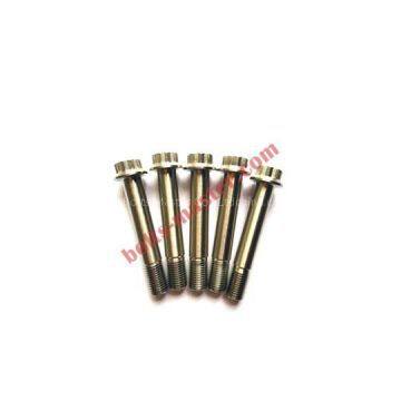 Titanium 12 Point Flange Bolts