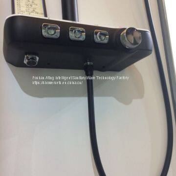 IT-P003B Shower Systems With Platform Foshan Factory Black Colour Luxury Rain Shower 3 Functions photo-5
