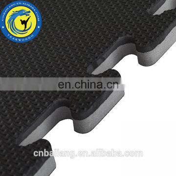 1mX1m Kungfu Floor Mat EVA Tatami Mat