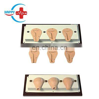 HC-S322 Medical  human simulation Advanced abortion simulation/ model of the uterus