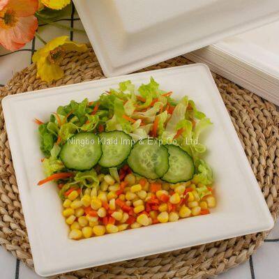 10”Hot Selling Party Restaurant Eco-Friendly Disposable Biodegradable Plates Sugarcane Bagasse Square Plates(500/ Case) photo-4