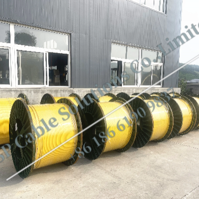 Tubing encasulated line