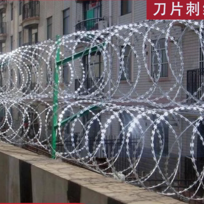Razor Wire Stainless Steel Roller Cage Anti Rust Protection Barbed Wire Barbed Wire Anti Theft Anti Climbing Barbed Wire Fence Anti Climbing Mesh photo-4