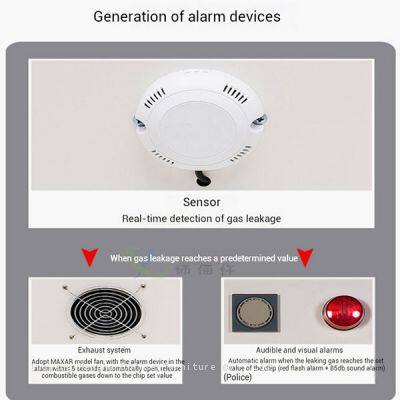 Прочный шкаф для хранения газовых баллонов из холоднокатаной стали для кислорода, азота, аргона | Топливно-стойкое и коррозионно-стойкое хранилище photo-4