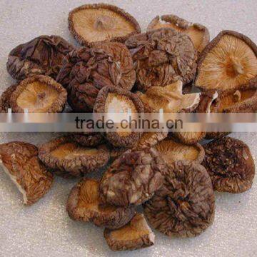 dehydrated shiitake mushroom