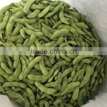 frozen soybean