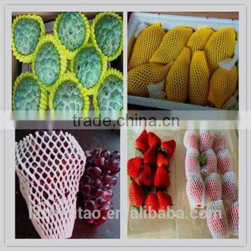 Fruit And Vegetable Packing Net