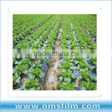 Barrier Mulch Film Manufacturer