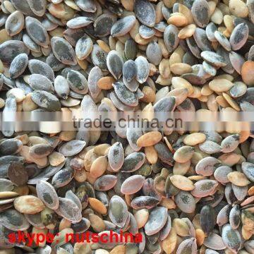 Pumpkin Seeds Oil Grade photo-4
