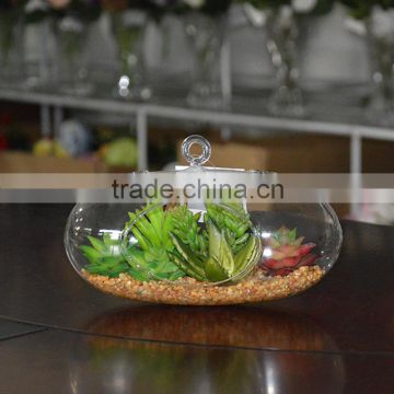 Plastic Succulent Plants Tropical Plants Terrarium Glass