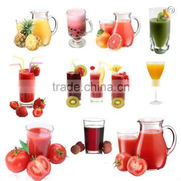 Best Selling Fruit Juice Extractor Machine photo-4