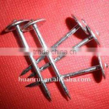 neoprene washer roofing screw4-1