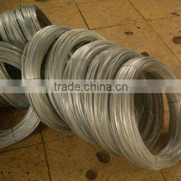 Electric Galvanized Wire (Leading Manufacturer)