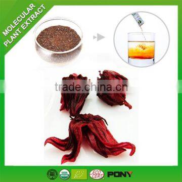 Herbal Supplement new products high quality Roselle Extract