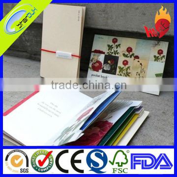 paper document/file folder