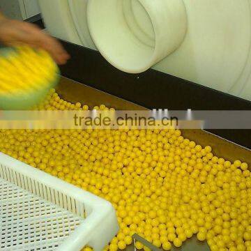 Food Grade Pharmaceutical Drying Tary For Drying Paintball / Softgel / Capsule photo-3