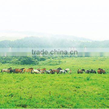 Durable and Cheep Glycerin Lotion for Industrial Use , Sample Also Available photo-3